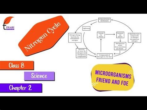 Image result for Science Class 8 Book Chapter 2