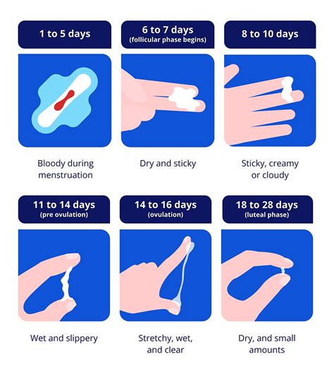 Normal Vaginal Discharge 的图像结果