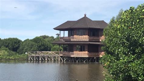Terpesona oleh Surga Hijau: Petualangan Mempesonamu di Hutan Mangrove Bali