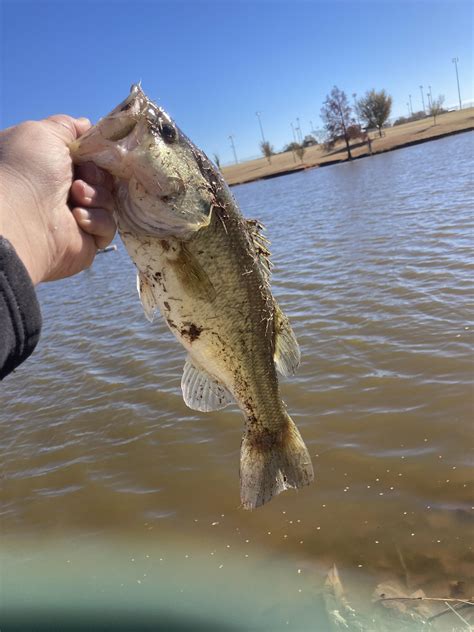 Wild Horse Park | Oklahoma Department of Wildlife Conservation