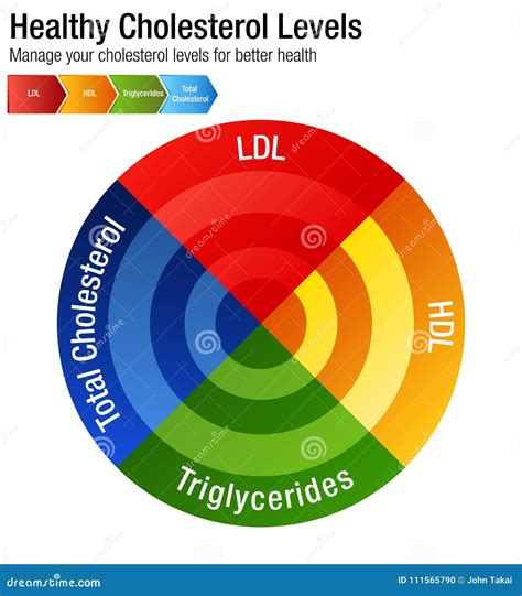 Total Blood Cholesterol HDL LDL Triglycerides Chart Stock Vector ...