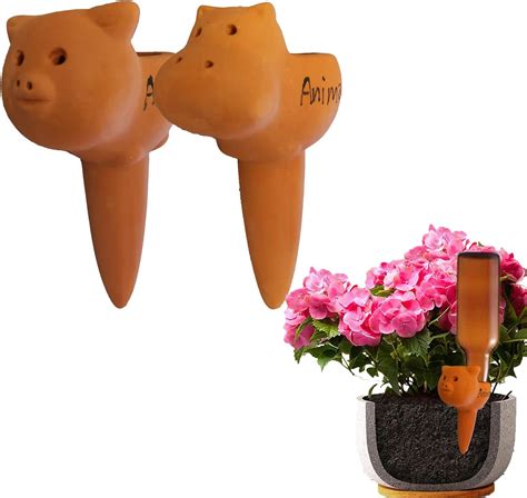 Terracotta Water Spikes For Plants at Joyce Haynes blog
