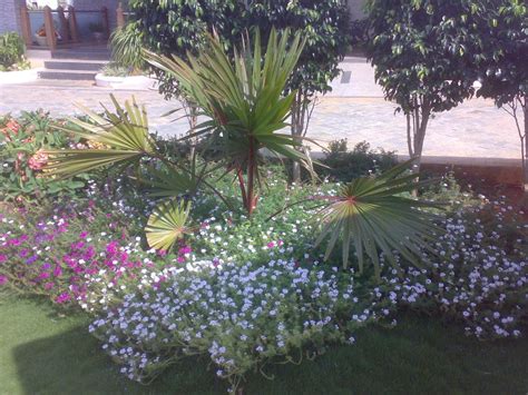 CONIFER landscape architects - BRAMHANI AVENUE