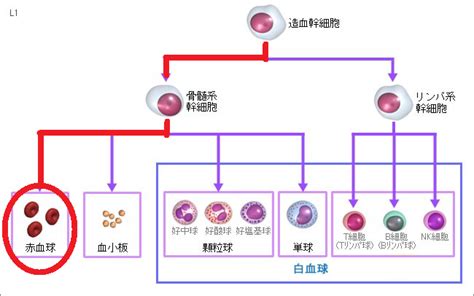 Image result for Routing Algorithm in MATLAB