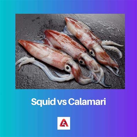 Squid vs Calamari: Difference and Comparison