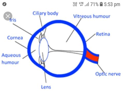 Draw a neat and labelled diagram of human eye. Discuss the various ...