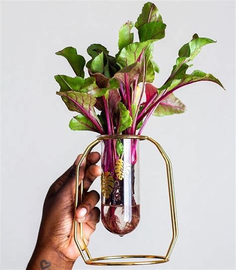 Local Trade Example 的图像结果