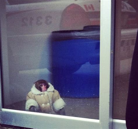 The most iconic Canadian fashion moments | Canadian Living