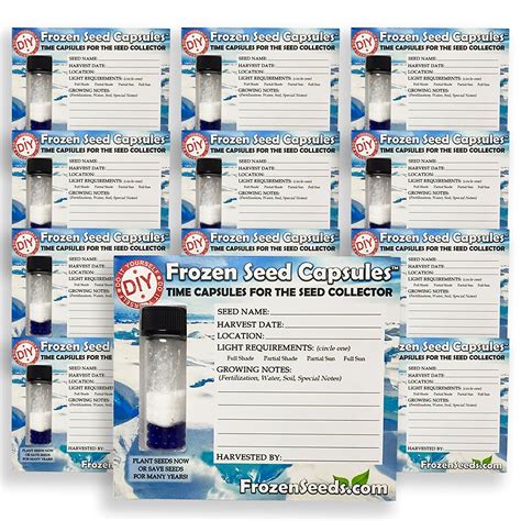 Buy Frozen Seed s 'Do-It-Yourself' DIY Small Seed Storage s '12 Pack ...