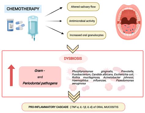 Mucositis Pathophysiology