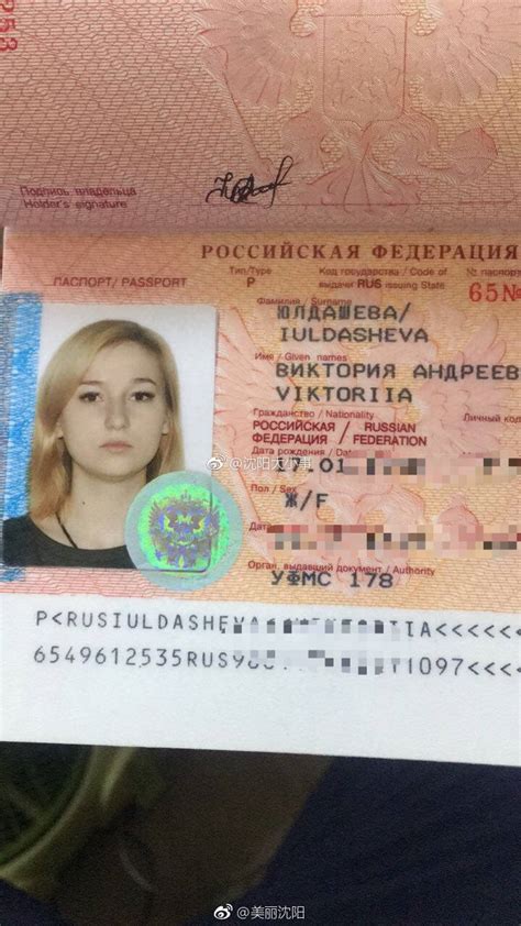 俄罗斯护照主表盘护照指数 2024