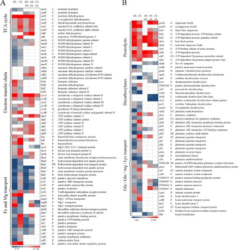 Image result for Heat Map Genetics
