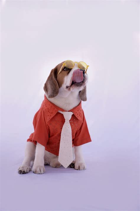 Tangerine Shirt with Tie – Siva
