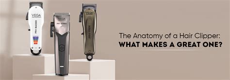 The Anatomy of a Hair Clipper