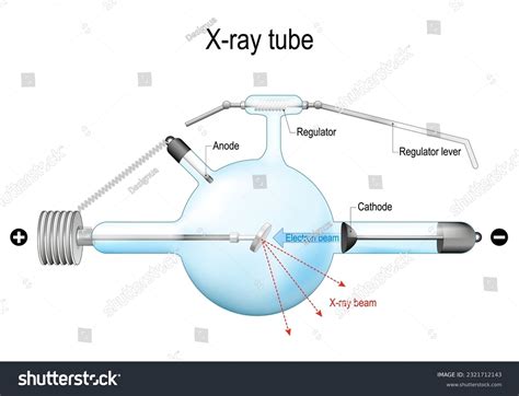 X Rays Diagram