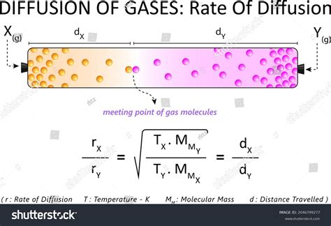 Diffusion Gases Rate Diffusion Stock Vector (Royalty Free) 2046799277 ...