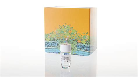 FuGENE® 6 Transfection Reagent