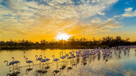 Bing Daily Wallpaper | Bing Daily Wallpaper