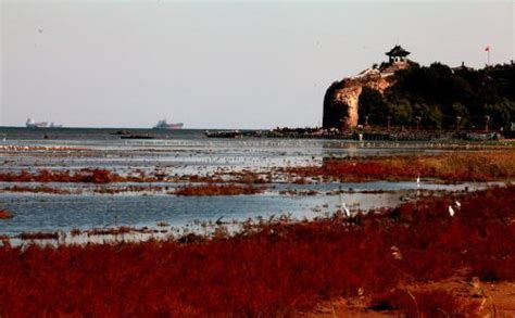 秦皇岛看海的最佳地点_旅泊网