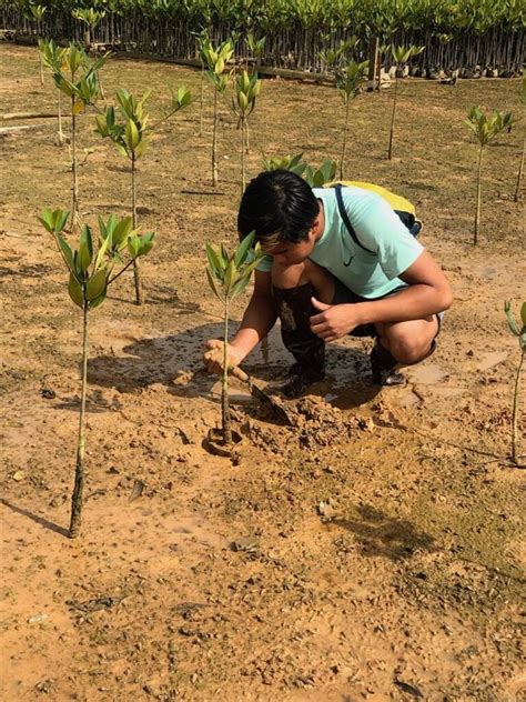 Protection of Ecosystem 的图像结果