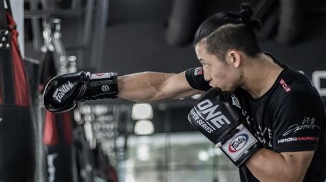 Boxing Styles 的图像结果