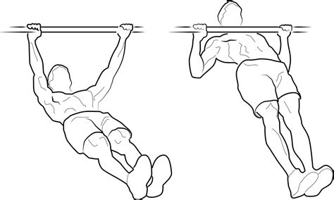 Australian Pull Up Tutorial 的图像结果