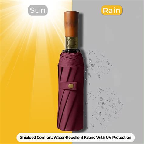 Buy Premium Quality Umbrella (Black, Navy, Date Red) Online – Robustt