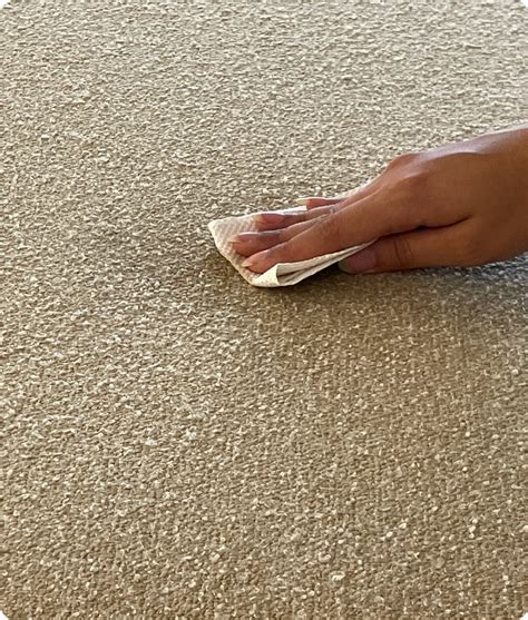 Sansaar - A D'Decor Brand