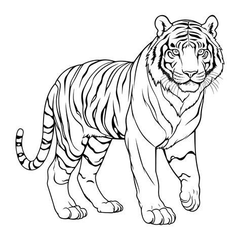 Coloring Pages Tiger