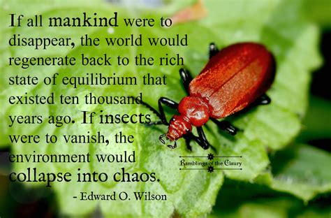 If all mankind were to disappear, the world would regenerate back to ...