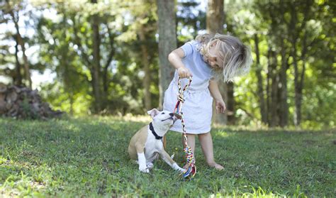 The Importance of Play (For Your Pet AND You!) | Family Health Diary