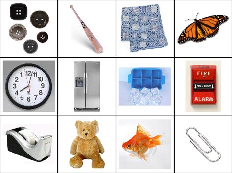 Image result for Common Objects Function