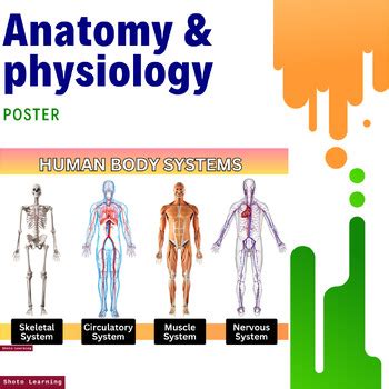Biology Human Anatomy and Physiology 的图像结果