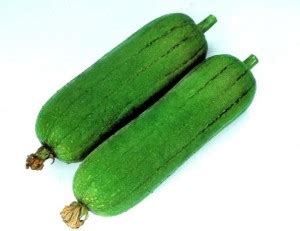 UGRA Sponge Gourd: CYLINDER Seed Price in India - Buy UGRA Sponge Gourd ...