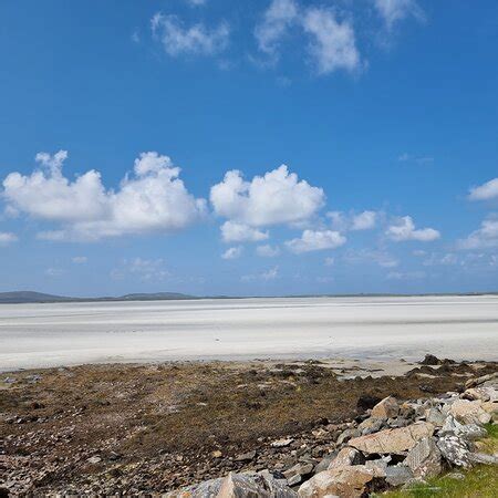 Dean Eades Wildlife Photography (Lincoln) - All You Need to Know BEFORE ...