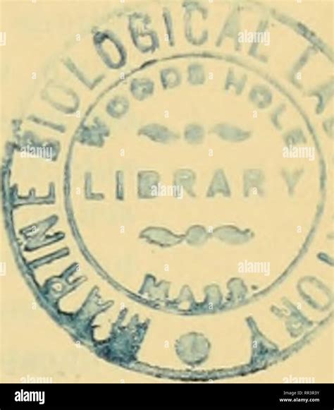 . Acta Societatis Scientiarum Fennicae. Science. Farn. Nabidae fieb ...