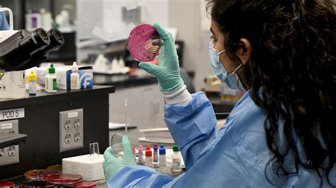 Clinical Laboratory Science 的图像结果