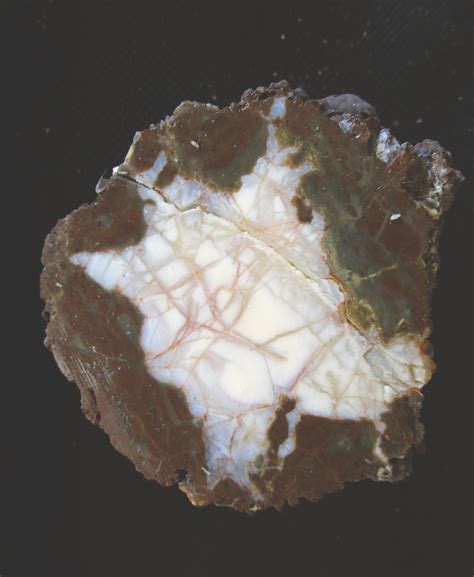 Oregon Thundereggs at Richardson's Rock Ranch