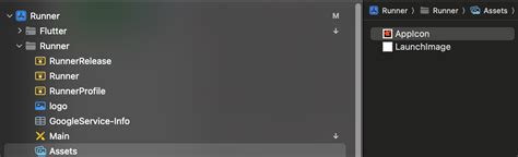 Image result for iOS File for App Center Flutter