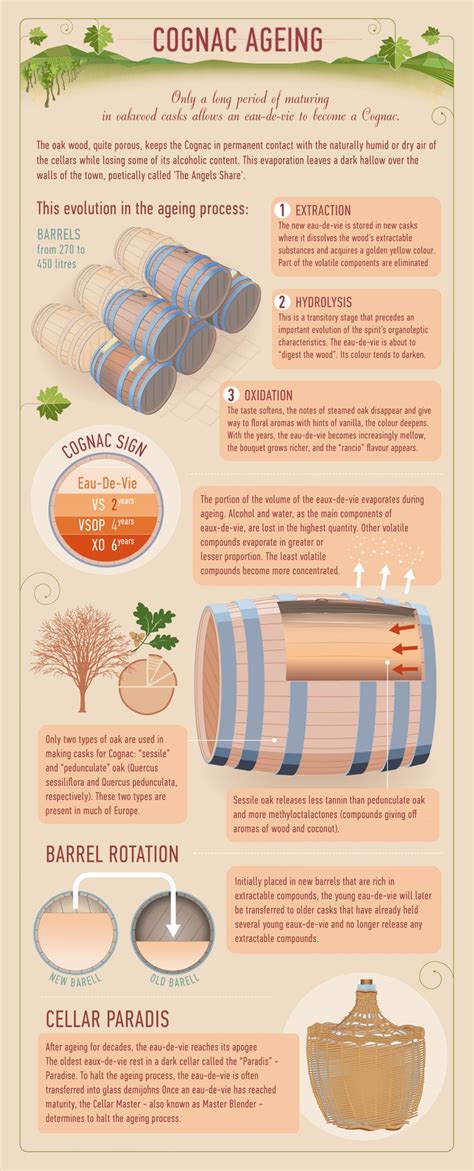 Find Out How Cognac is Made | Cognac, Wine knowledge, Wine and liquor