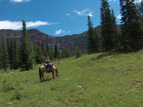 Marvine Campground Colorado: Reservations & Camping Info