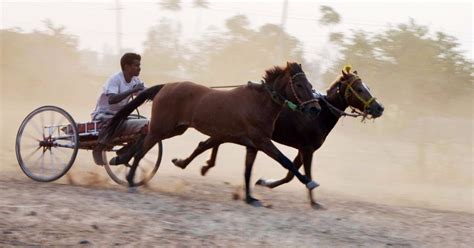 Wishing To Start Races, Maharashtra Govt To Now Compare Running Ability ...