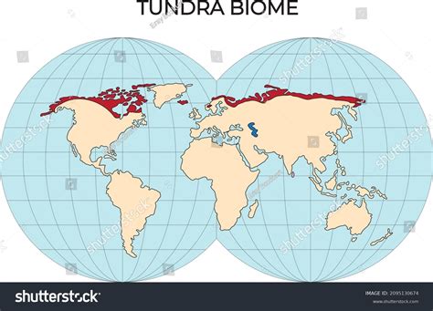 Mapa Do Bioma Tundra Here's What The World Would Look Like If Nature