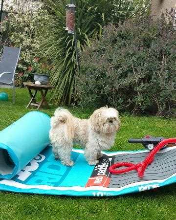 Irish SUP (Dublin) - All You Need to Know BEFORE You Go