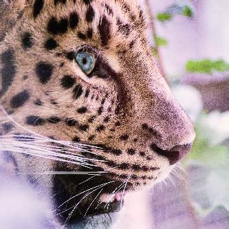 DML 0-25mm Digital Micrometer External Electronic Gauge 12 Months ...