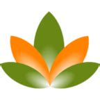 PR Exports|Bay Leaf Exporters,Bay leaf suppliers in India|Bay Leaf in India