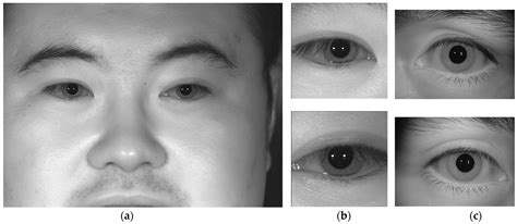 Recent Iris and Ocular Recognition Methods in High- and Low-Resolution ...