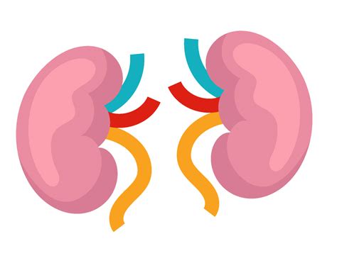 Pathcare Diagnostics - Book Test Online in India