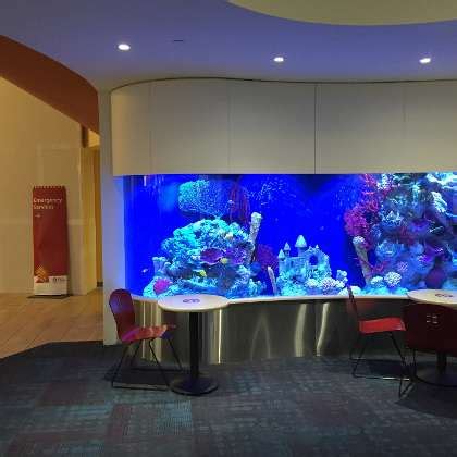 Boston Children's Hospital office photos