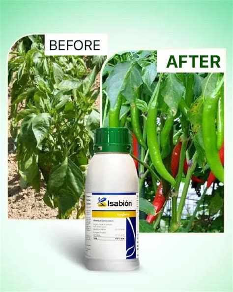 Buy Isabion Biostimulant by Syngenta | Natural Amino Acids for Crop ...
